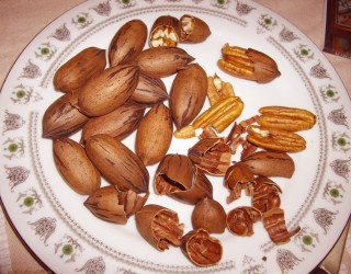 Pecans