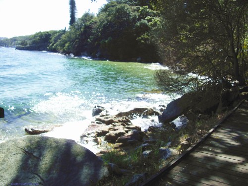 Hermitage Foreshore Track Sydney