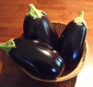 Eggplant harvest